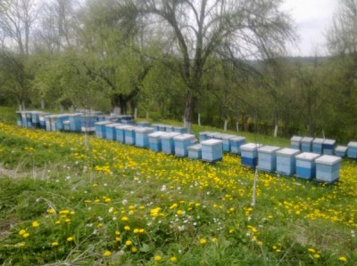 april prošle godine