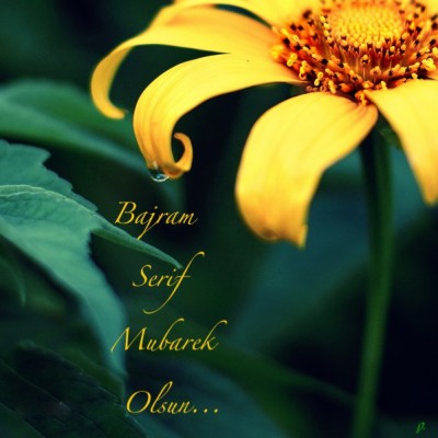 Bajram.jpg