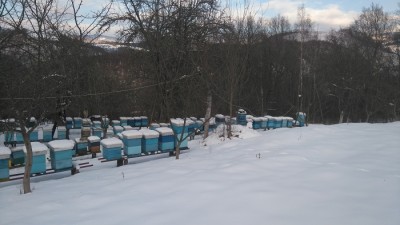 sniježna idila
