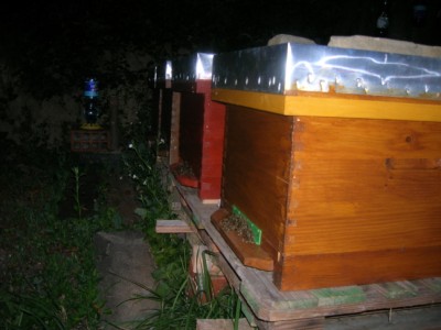 DSCN6014 (400 x 300).jpg