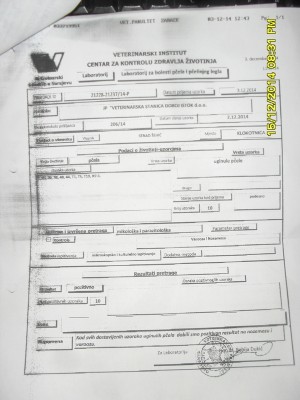 SDC18459.JPG