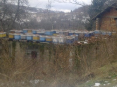 pčele na ploči kuće,trajno rješenje za neželjene medine posjete